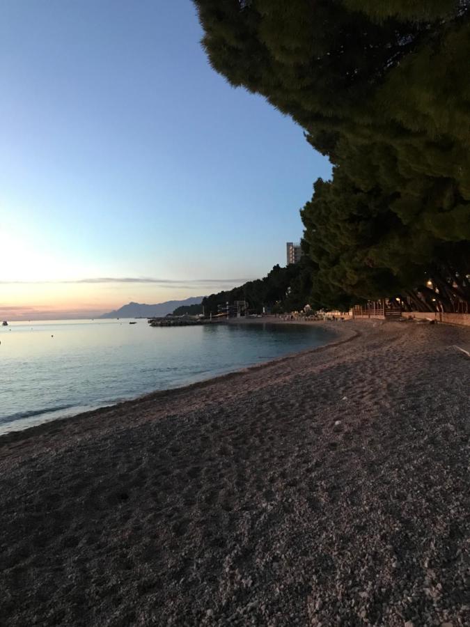 Villa Radic Makarska Exterior photo